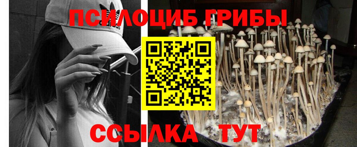 Советская Гавань  Псилоцибиновые грибы MAGIC MUSHROOMS  Вход с VPN 