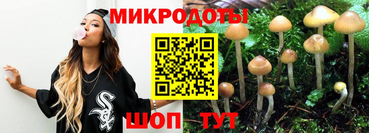 Псилоцибиновые грибы MAGIC MUSHROOMS Советская Гавань